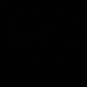 Meet your Posher, Kellesia